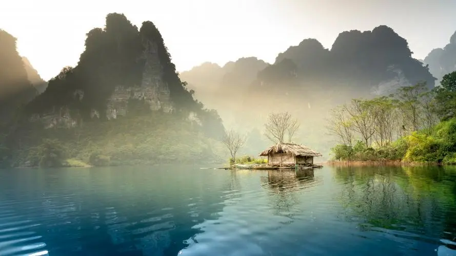 全自动稳定性可靠性